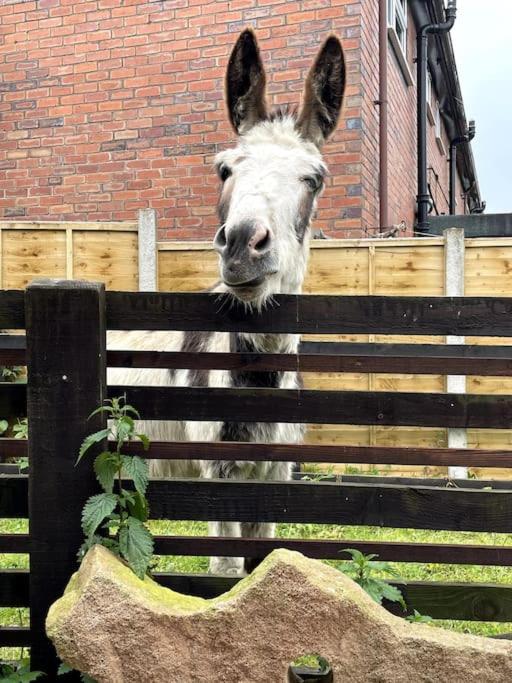 4 Bedroom - Sleep 9 Home In Cheadle Staffordshire - Alton Towers Polar Express Dimmingsdale Peak District Trentham Gardens Water World Экстерьер фото