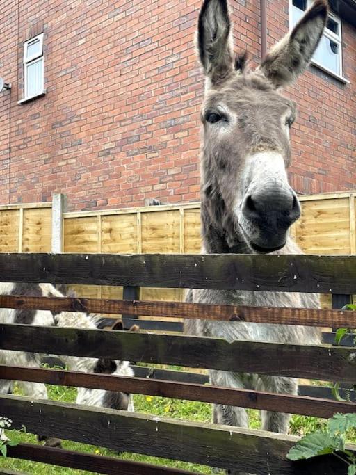 4 Bedroom - Sleep 9 Home In Cheadle Staffordshire - Alton Towers Polar Express Dimmingsdale Peak District Trentham Gardens Water World Экстерьер фото